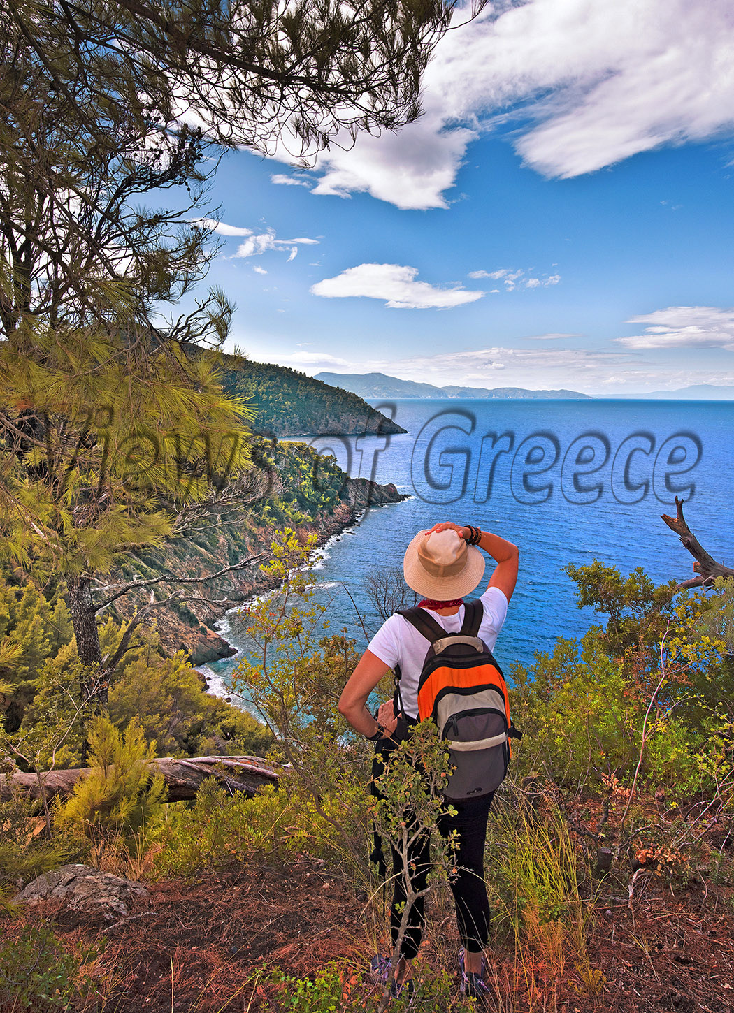 greece, greek, mediterranean, aegean, sporades, water, alonnisos island, beach, Αλόννησος, Σποράδες, φώκια, θαλάσσιο πάρκο, Mom