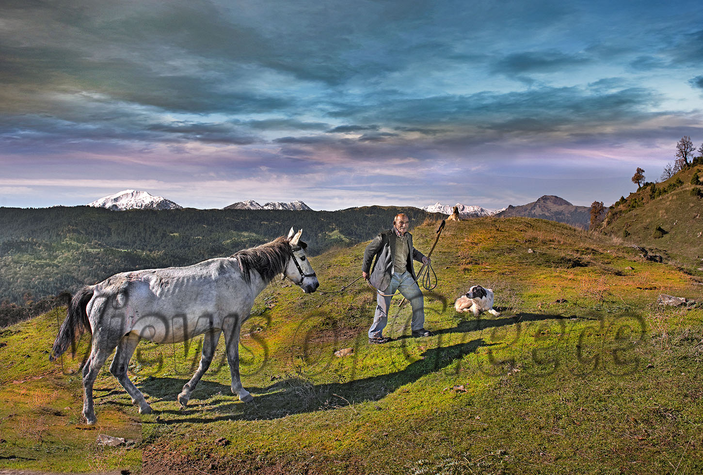 Νομός ΓΡΕΒΕΝΩΝ, Αλατόπετρα, Μεσολούρι, Δοτσικό. Ο κυρ Χρίστος με το άλογο του στα ορεινά λημέρια του