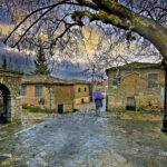 Άμφισσα: Βόλτες στην παραδοσιακή Χάρμαινα με τα παλιά βυρσοδεψία και στον αρχαίο ελαιώνα της