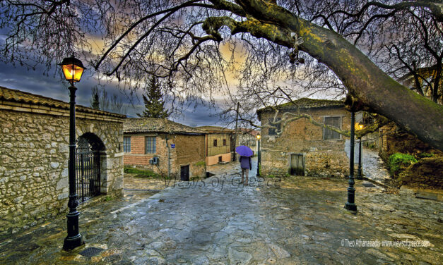 Άμφισσα: Βόλτες στην παραδοσιακή Χάρμαινα με τα παλιά βυρσοδεψία και στον αρχαίο ελαιώνα της